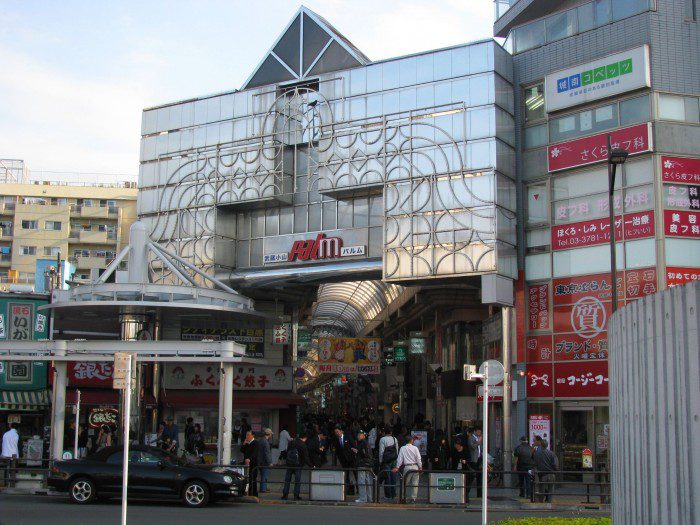 Musashi-koyama_Palm_-01