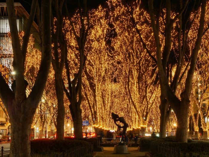 定禪寺通 定禪寺通