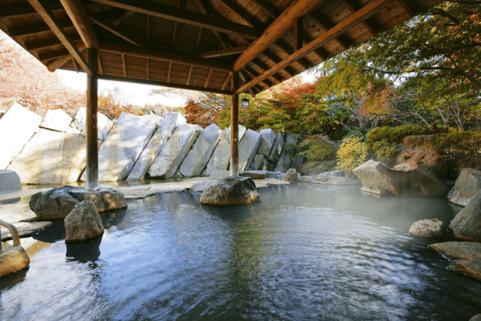 篝火之湯綠水亭旅館(Ryokusuitei Ryokusuitei Sendai) 篝火之湯綠水亭旅館(Ryokusuitei Ryokusuitei Sendai)