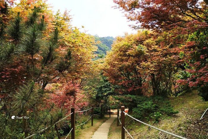 台北奧萬大樂活莊園