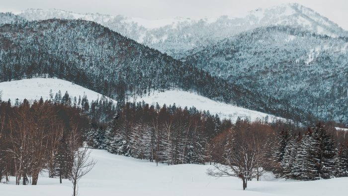 星野TOMAMU度假村滑雪場